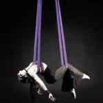 2PCS Aerial Straps with Loops, 2 Meters Suspension Rope Belt for Aerial Acrobatics, Circus & Body Workout Training